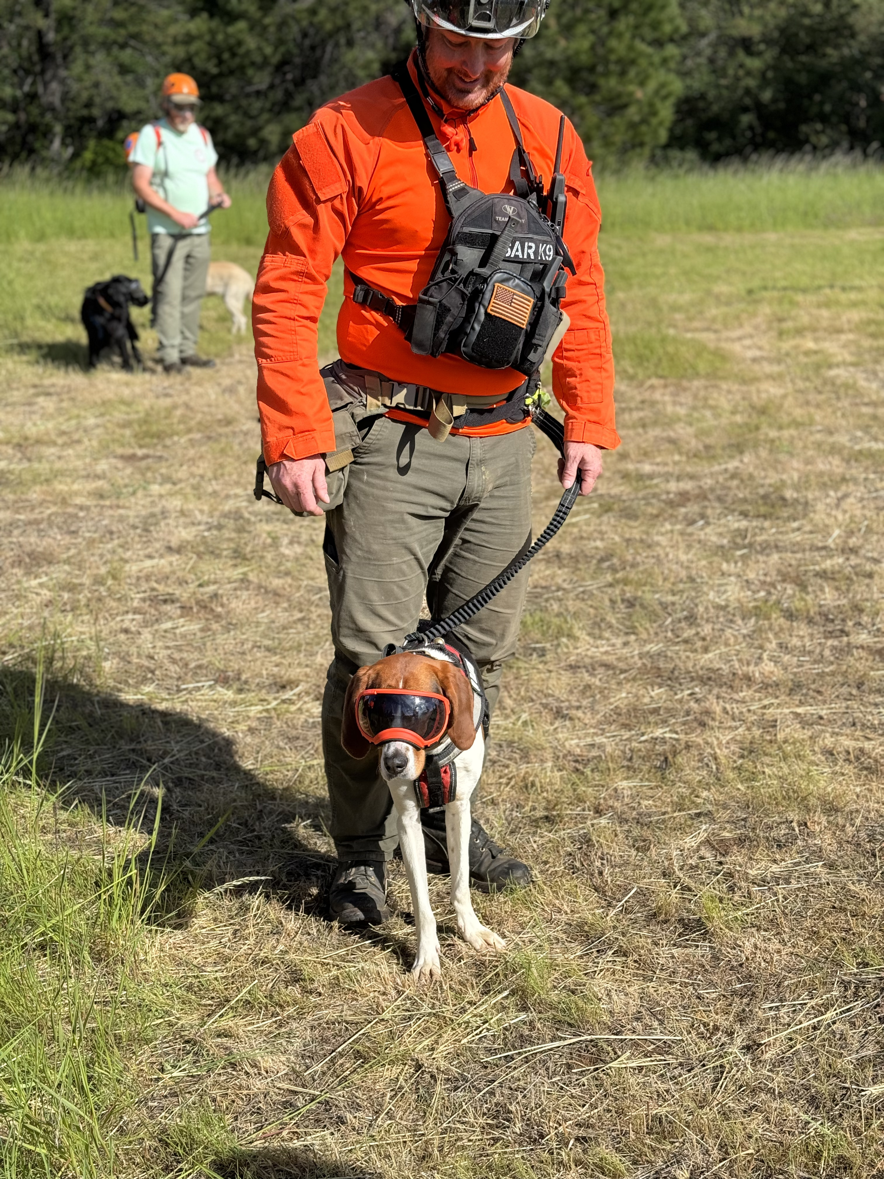 Mitchell and Nala search and rescue training photo 4