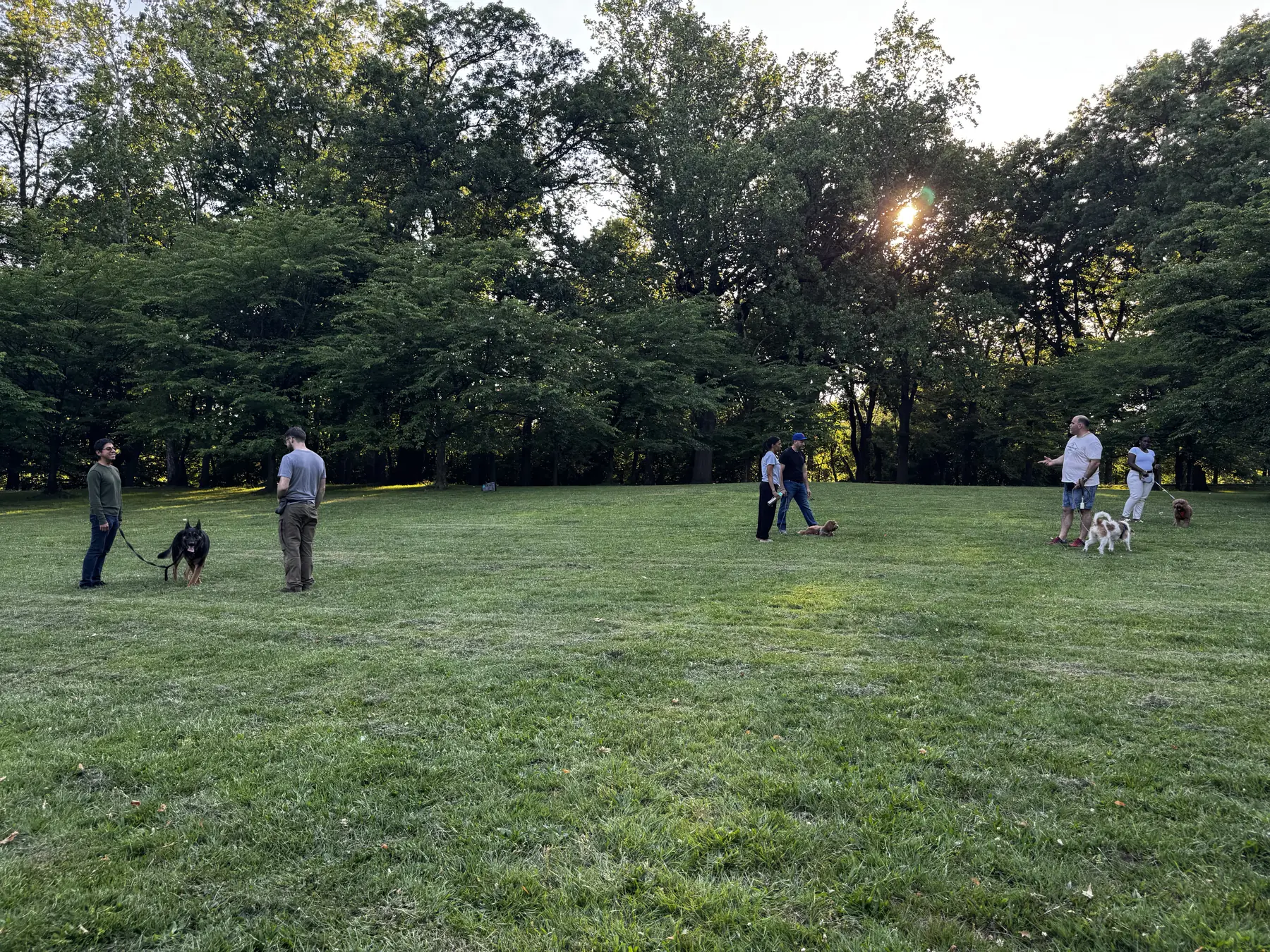 Dog training and Search and Rescue practice photo 6