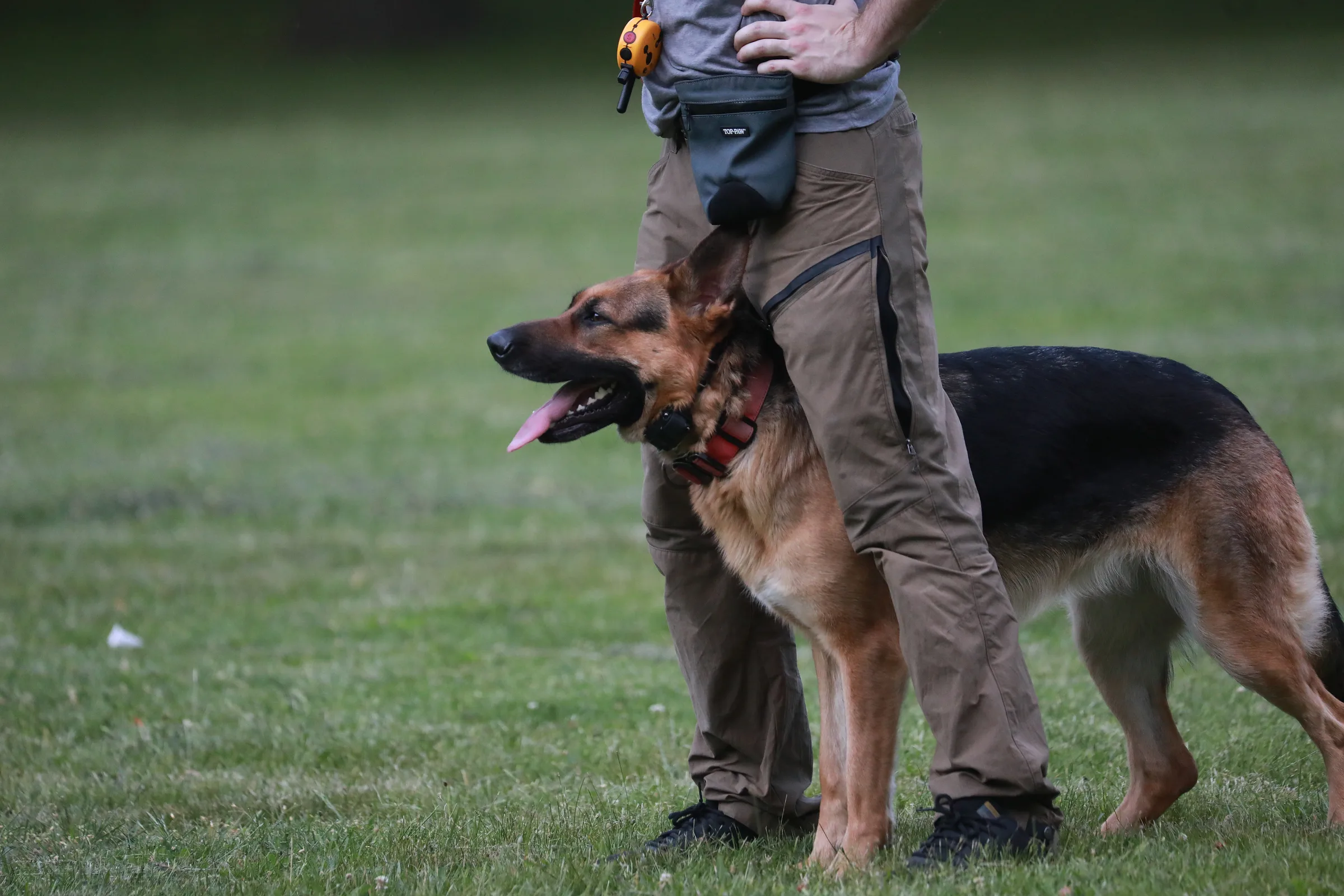 Mitchell standing with Nala during private dog training