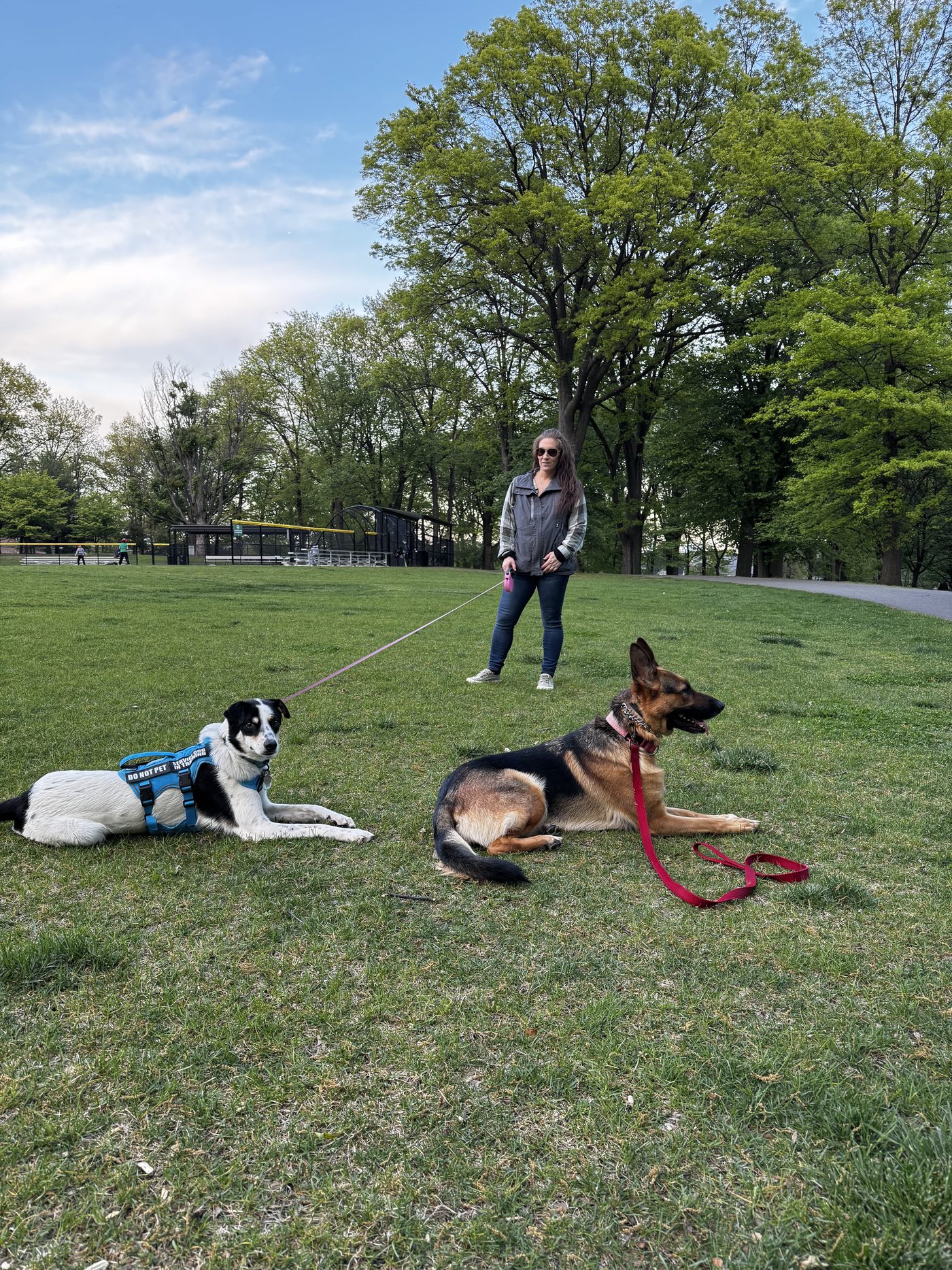Dog training and Search and Rescue practice photo 9